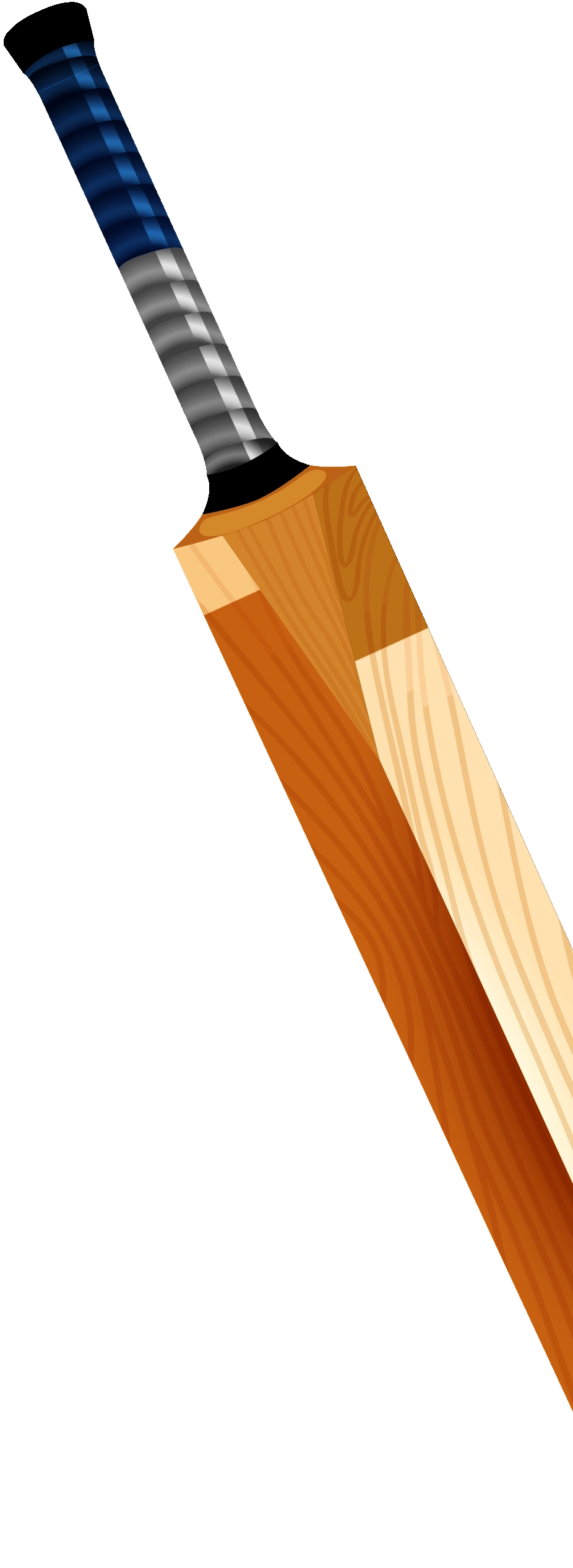 Cricket Bat