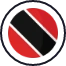 100-not-out-flag-tt