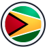 icon-flag-gy